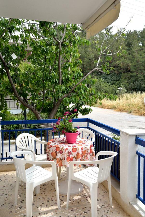Deluxe Seaside Apartment Konstantinidis 네아 포티데아 외부 사진